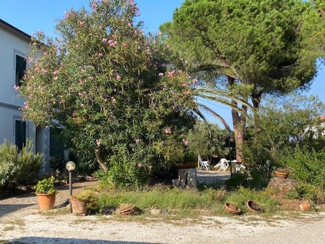 Isola D'Elba Casa Vacanze - Villa Portello - Magnetite - La Casina Рио Марина Екстериор снимка